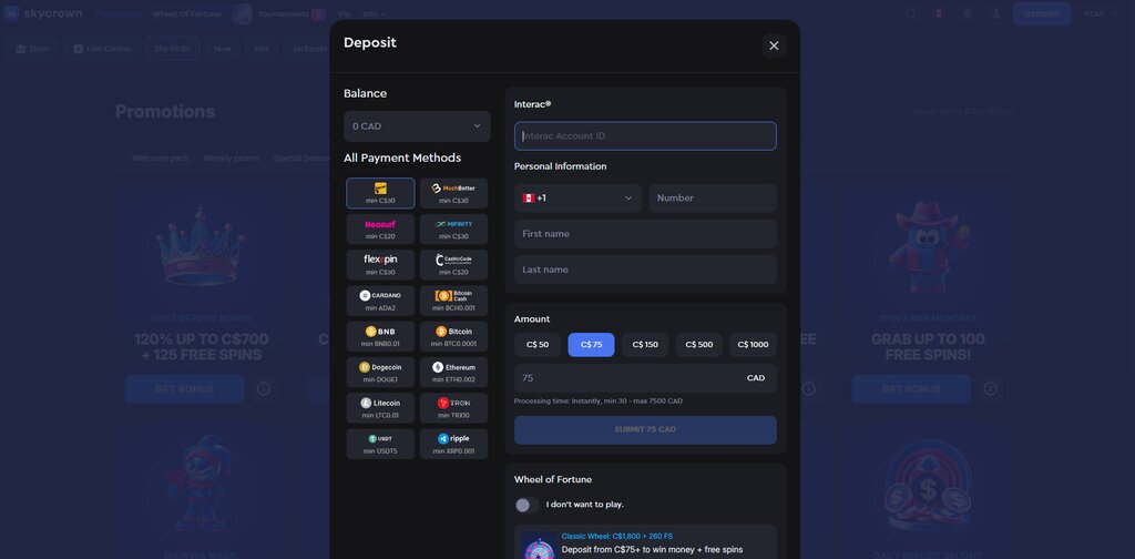 SkyCrown Casino Payment methods